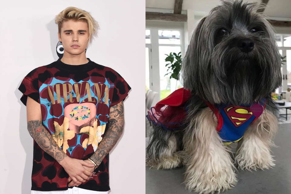 Justin's Dog, Esther