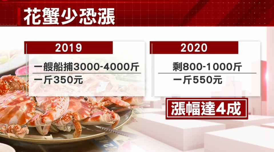 一斤花蟹的市價從350元漲到每斤要賣500元，漲幅高達4成。（圖／東森新聞）