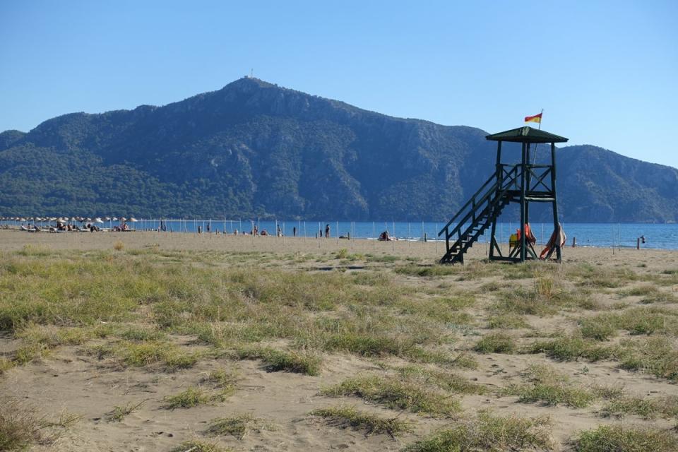 Iztuzu Beach, Dalyan (Jennifer Hattam)