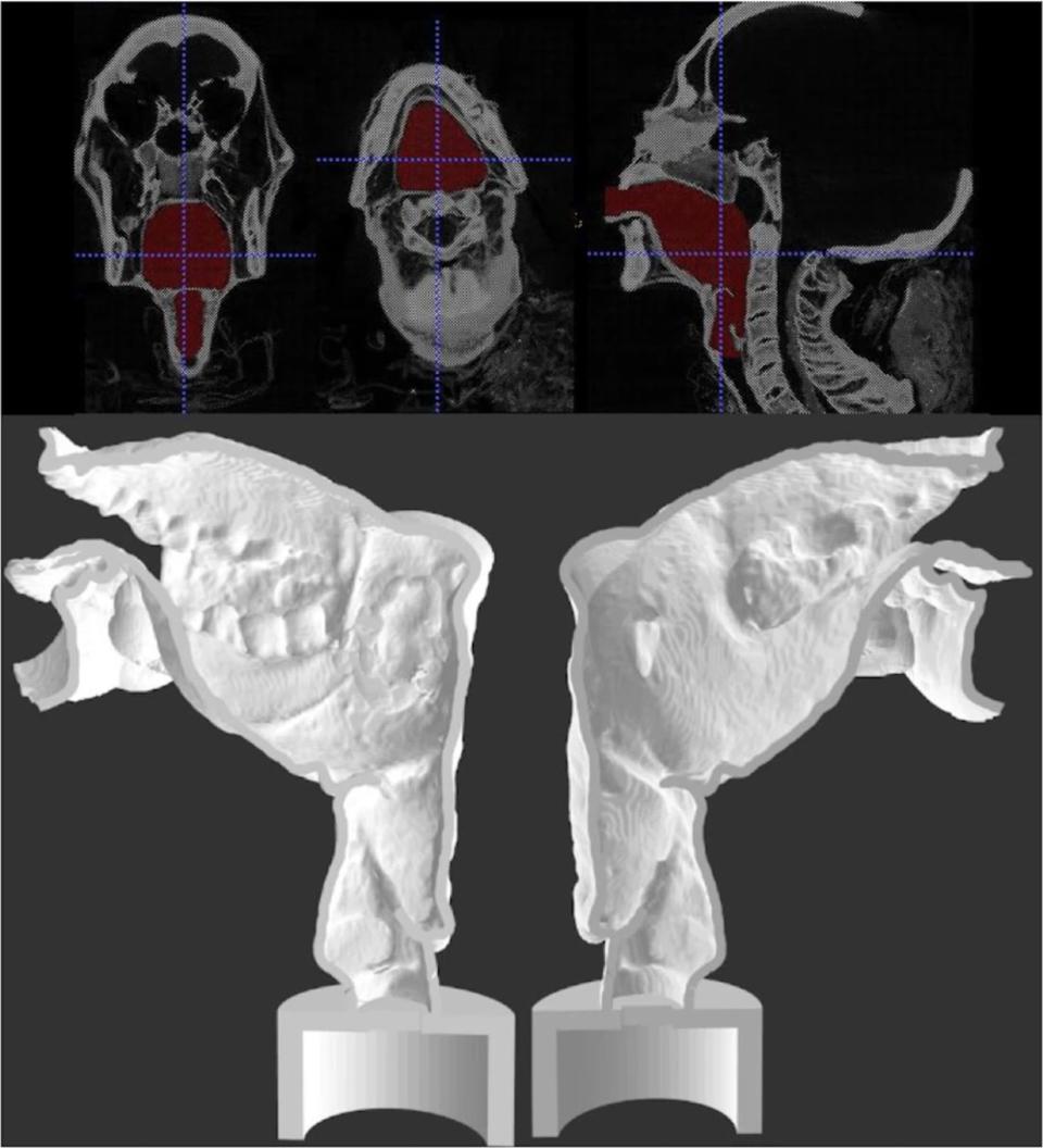 side by side images show scans of Nesyamun’s vocal tract and a 3D printed version of his vocal tract split in halves.