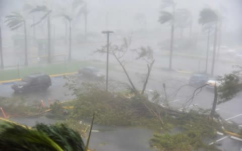 Trees are toppled in a parking lot at Roberto Clemente Coliseum in San Juan, Puerto Rico - Credit: HECTOR RETAMAL/AFP