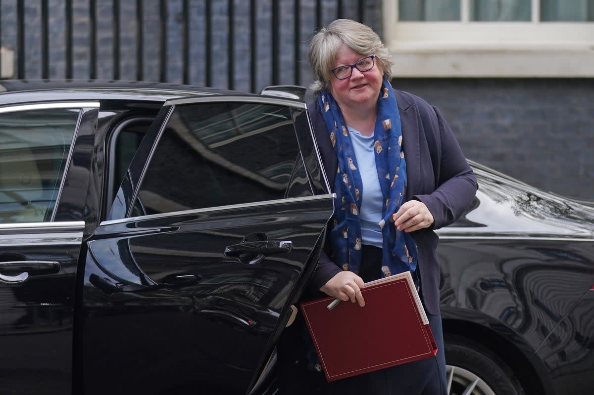 Therese Coffey has a demanding In-tray as she takes over the health and social care portfolio (PA) (PA Wire)