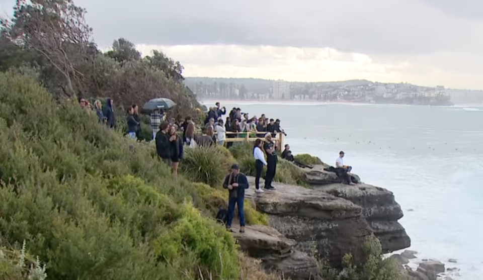 People stop to take in the view at a headland in Manly. Source: 7 News