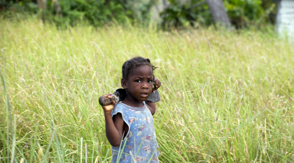 In this May 27, 2019 photo, a girl with a machete eyes the camera as she walks in a field of vetiver in Les Cayes, Haiti. Haiti produces more than 70 tons of vetiver oil a year, surpassing Indonesia, China, India, Brazil and the neighboring Dominican Republic. (AP Photo/Dieu Nalio Chery)