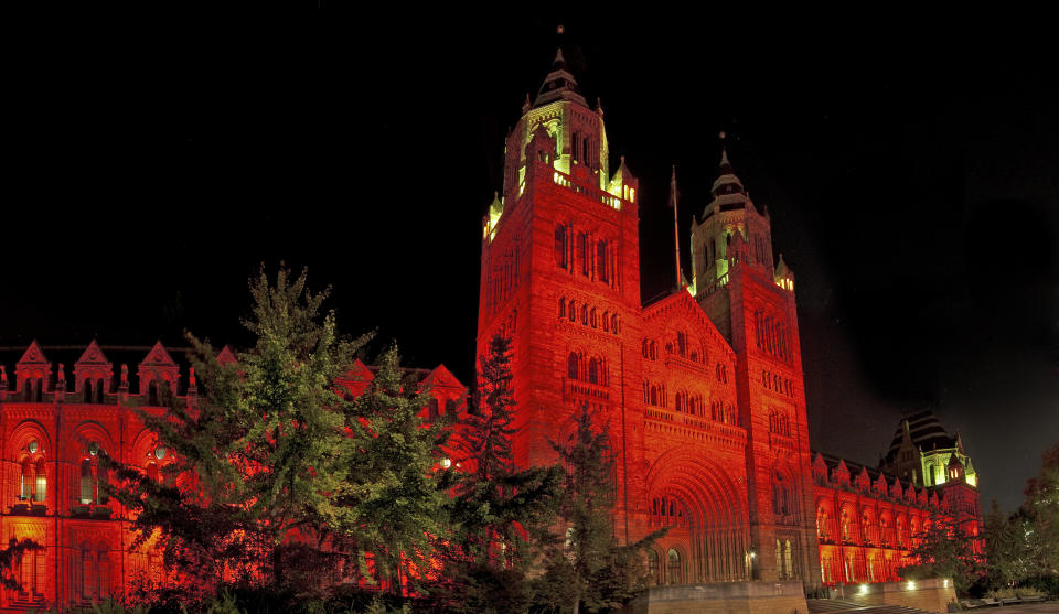 Name a spookier location to watch your go-to Halloween flick [Photo: Natural History Museum]