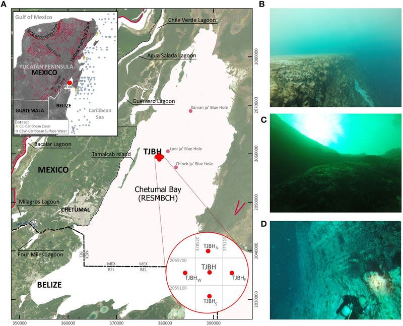 Location of the blue hole and images of it at (B) 16 feet deep, (C) 65 feet deep, and (D) 98 feet deep. - Graphic: <a class="link " href="https://www.frontiersin.org/articles/10.3389/fmars.2024.1387235/full" rel="nofollow noopener" target="_blank" data-ylk="slk:Alcérreca-Huerta et al., Front. Mar. Sci. 2024;elm:context_link;itc:0;sec:content-canvas">Alcérreca-Huerta et al., Front. Mar. Sci. 2024</a>