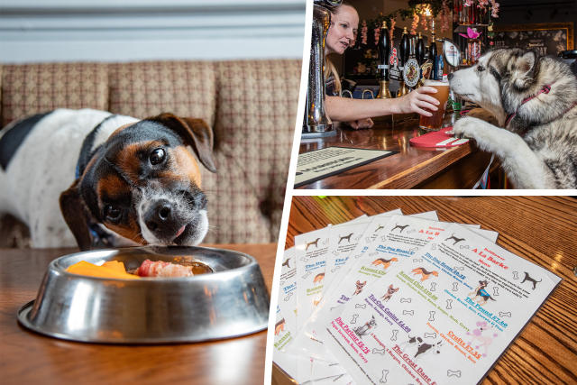 These are the top ten dog-friendly places to eat across Lancashire,  according to Trip Advisor