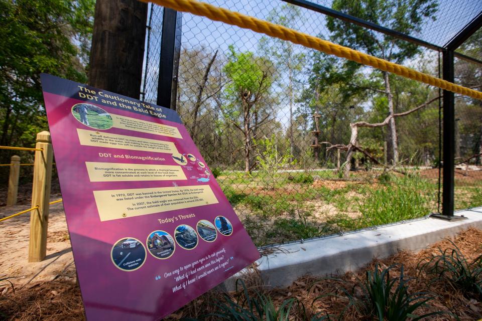 The newly reconstructed aviary at the Tallahassee Museum on Tuesday, March 23, 2021. The previous aviary was destroyed by Hurricane Michael in 2018.