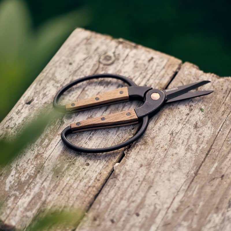 Garden Scissors