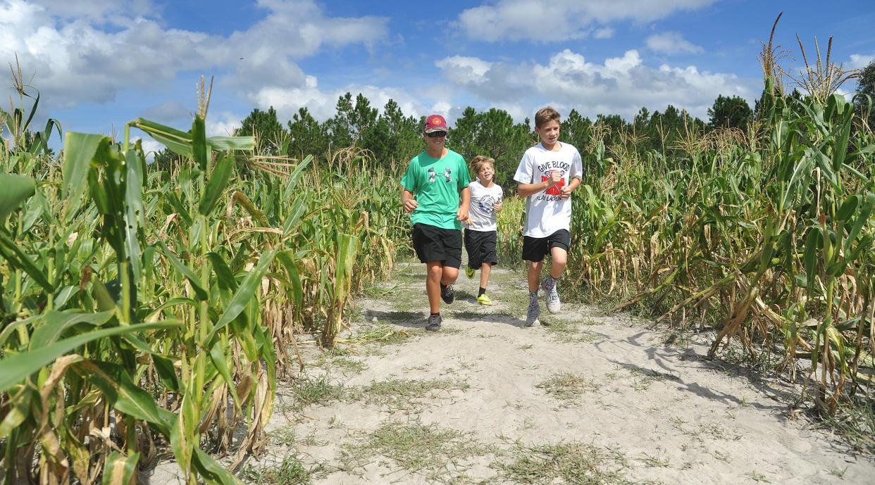 There's plenty to do in the Jacksonville area this October, including Conner's A-Maize-ing Acres in Hilliard.