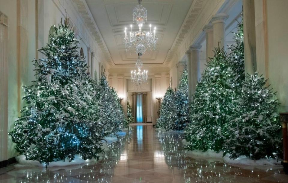 Icy trees in a hallway