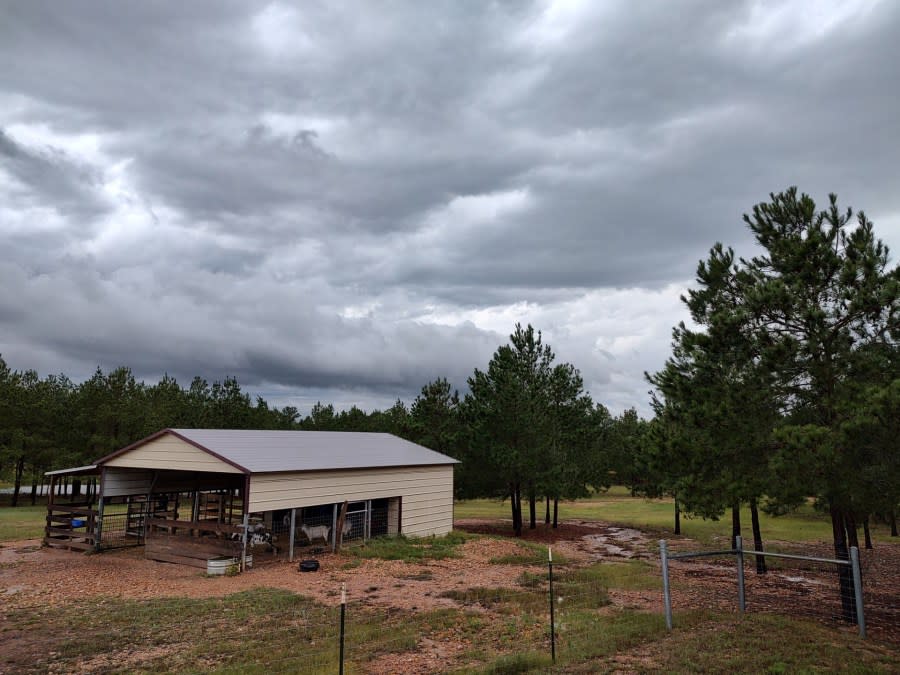 “Five miles north of La Grange on Hwy 77 and got 2″ of rain in 45 minutes.” (Credit: Connie Buscha)