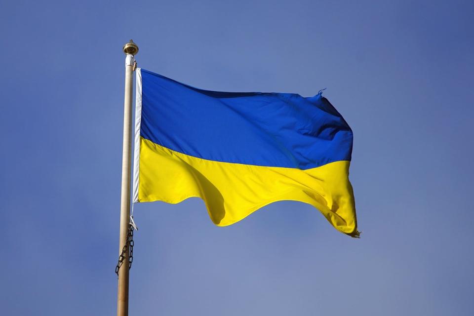 Ukrainian flag  (PA Wire)