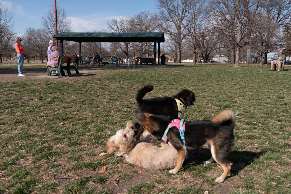 Small dogs enjoy each other's company Wednesday at Hill's Bark Park in Gage Park.