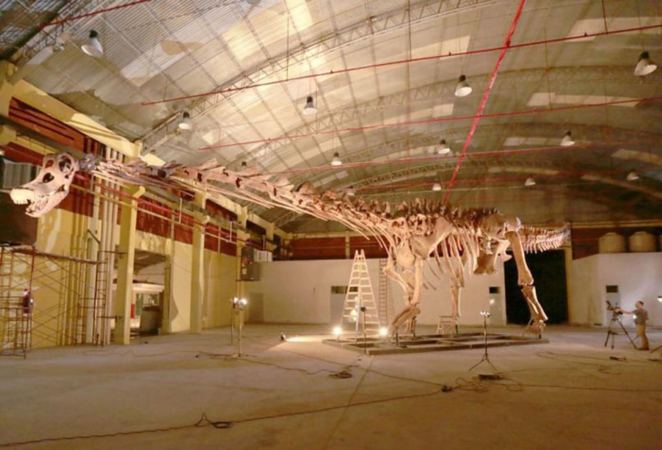 A model of the huge Titanosaur was recreated after the discovery (BBC)