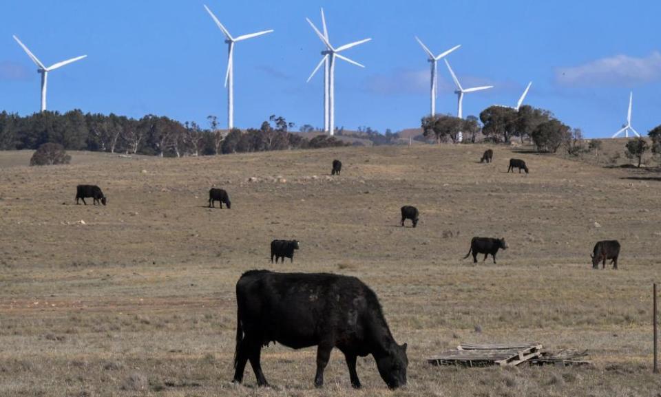 Williamsdale solar farm near Canberra