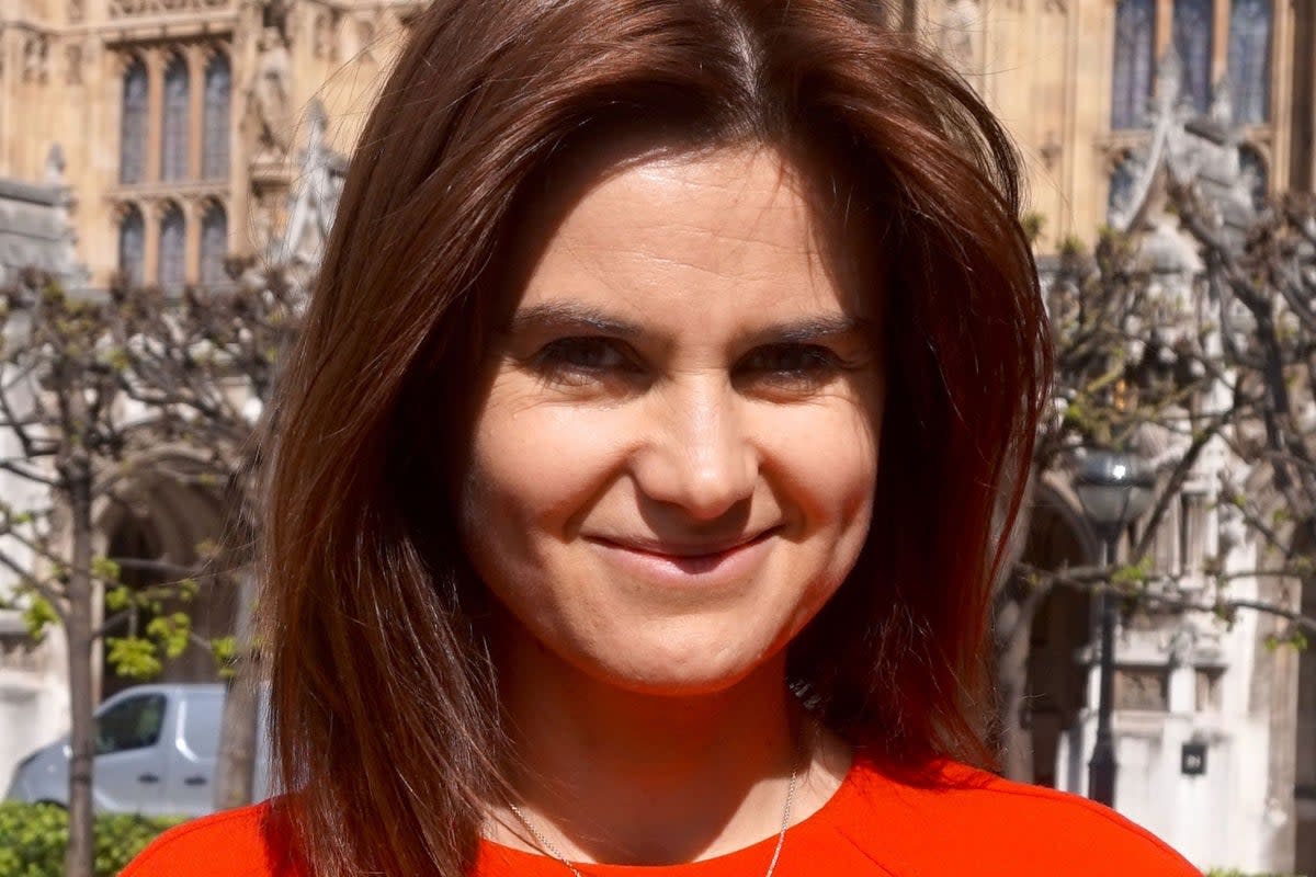 MP Jo Cox (pictured) was murdered in 2016 by a far-right extremist (PA Media)
