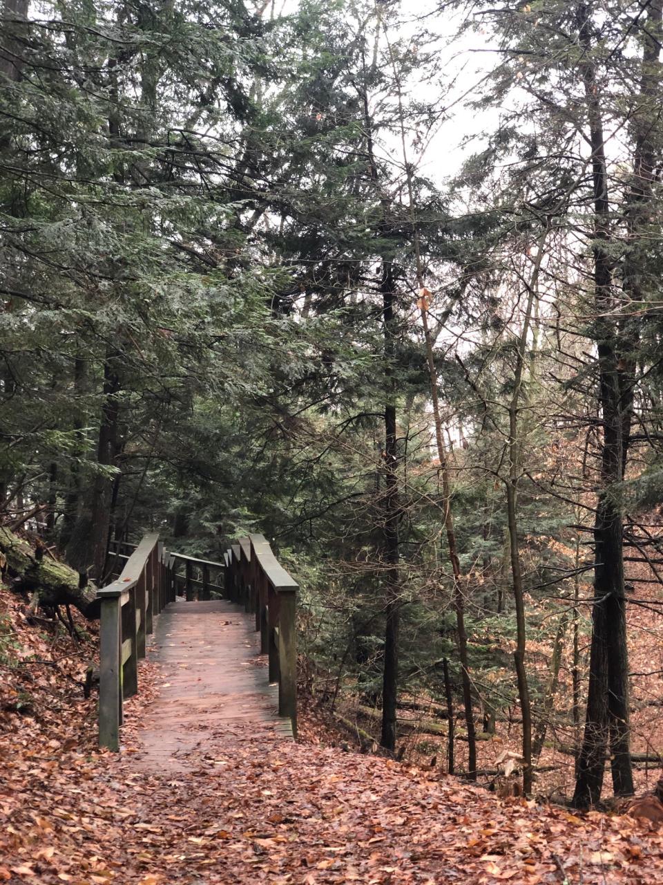 P.J. Hoffmaster State Park, Norton Shores.