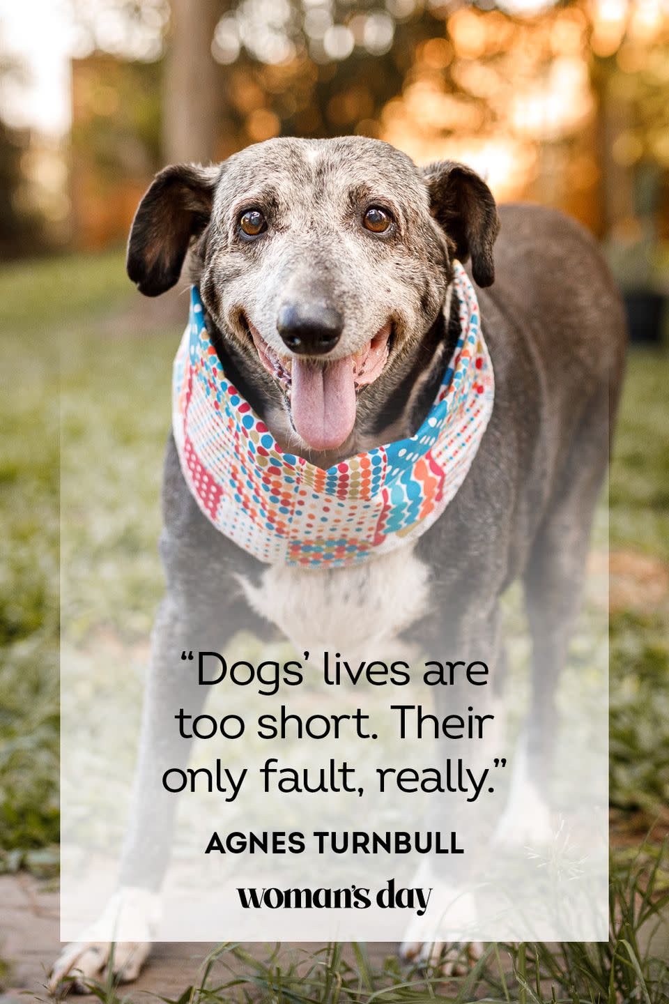 <p>“Dogs’ lives are too short. Their only fault, really.”</p>