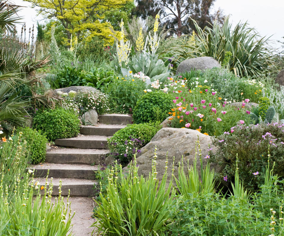boulders and plants with steps in landscaped garden