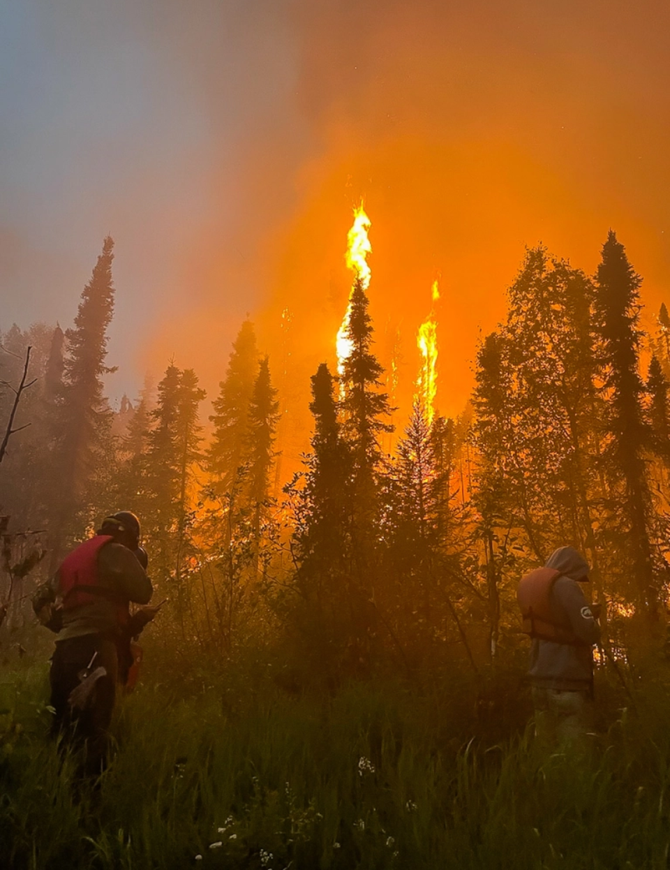 <span class="caption">Fire crews walk through tall vegetation as they conduct defensive burning against a large complex of fires near Lime Village, Alaska. The group of fires totaled more than 780,000 acres on July 5, 2022.</span> <span class="attribution"><a class="link " href="https://akfireinfo.com/2022/07/05/high-humidity-and-defensive-burning-reducing-lime-complex-fire-spread/" rel="nofollow noopener" target="_blank" data-ylk="slk:Bryan Quimby/Alaska Incident Management Team;elm:context_link;itc:0;sec:content-canvas">Bryan Quimby/Alaska Incident Management Team</a></span>