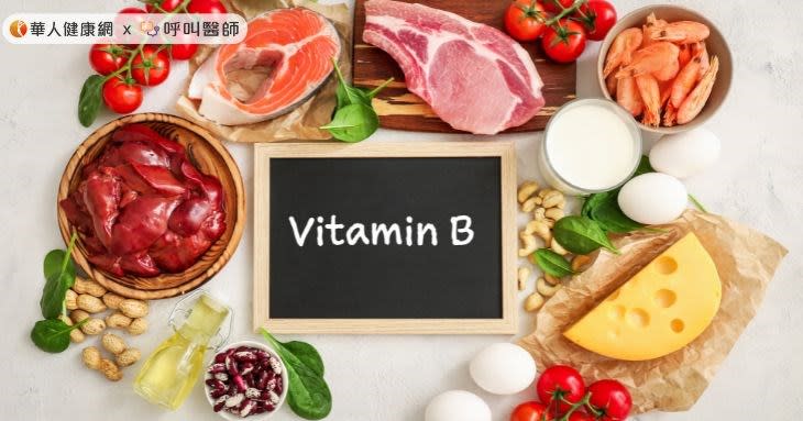 B群之所以對人體如此重要，關鍵在於維生素B群是參與身體能量、營養代謝過程重要的輔酶。