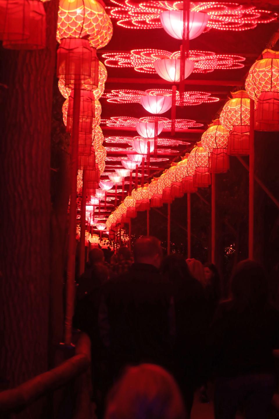 A winding bridge is illuminated at the China Lights lantern festival at the Boerner Botanical Gardens in Hales Corners, Wisconsin in 2019.