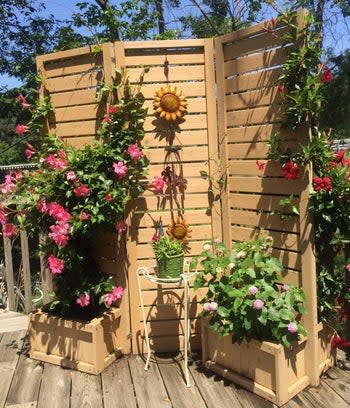 plants arranged around the wooden three-panel privacy screen