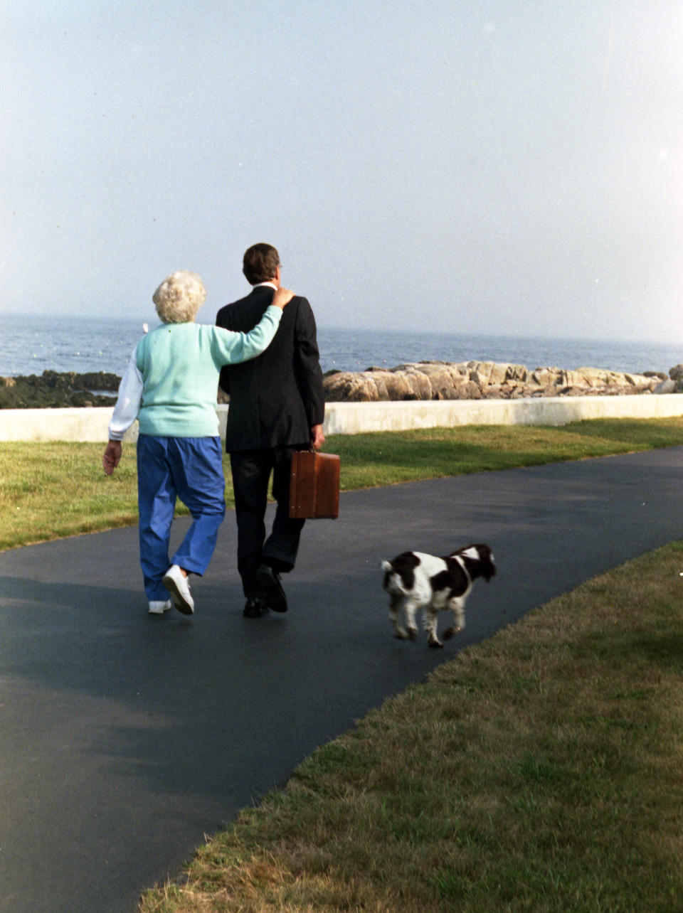 President George H.W. and Mrs. Barbara Bush walk down the driveway as their dog Millie trots alongside, Walker's Point, Kennebunkport, ME, Aug. 16, 1989.