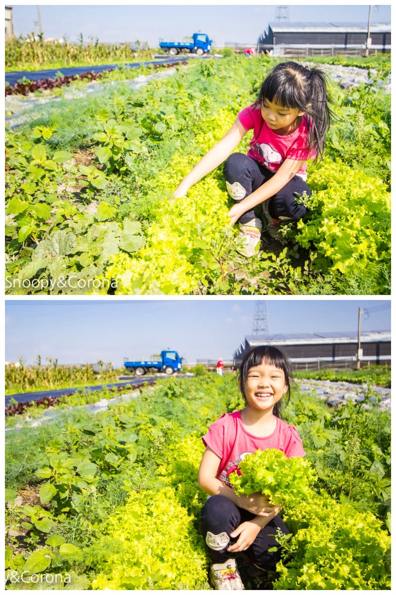 雲林晁陽綠能體驗農場