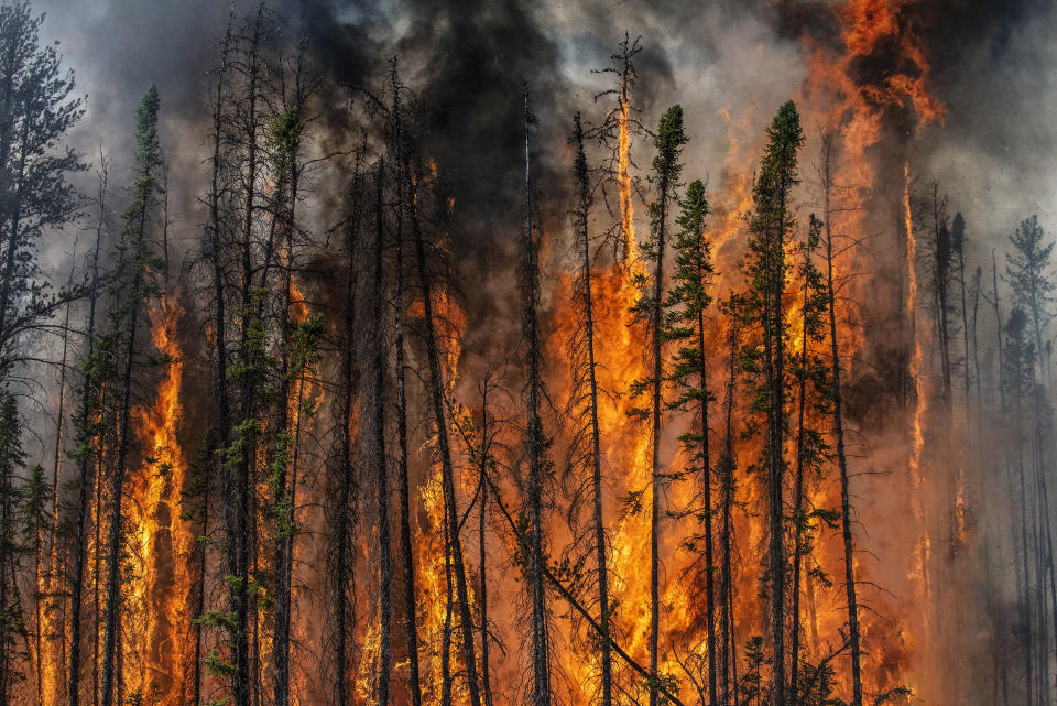 Flame Front #6 near Fort Providence, Northwest Territories, Canada, June 22, 2015. Experimental prescribed research burn.   Page 278 from 