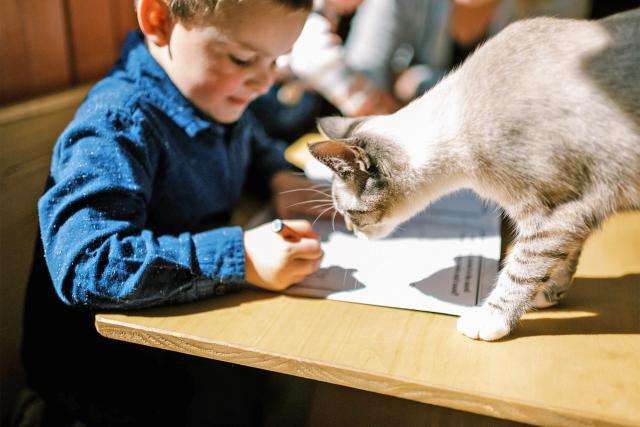 The Meaning of Your Cat's Meow - WSJ