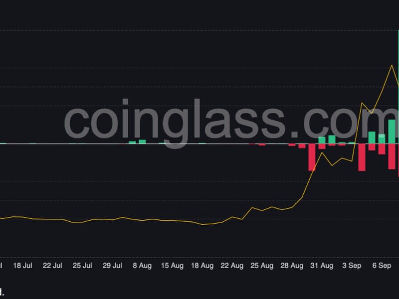 Traders who bet on LUNC’s price to fall after Interpol’s “red notice” on Do Kwon were liquidated after Binance's announcement. (Coinglass)