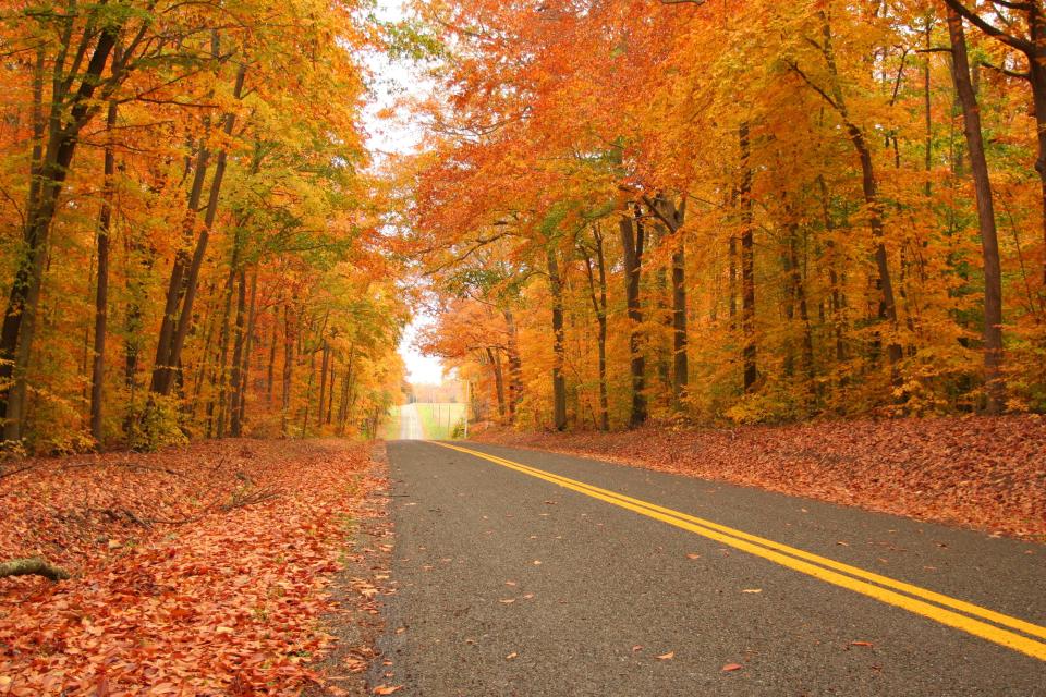 Rural roadway on the Eastern Shore of Maryland in autumn.