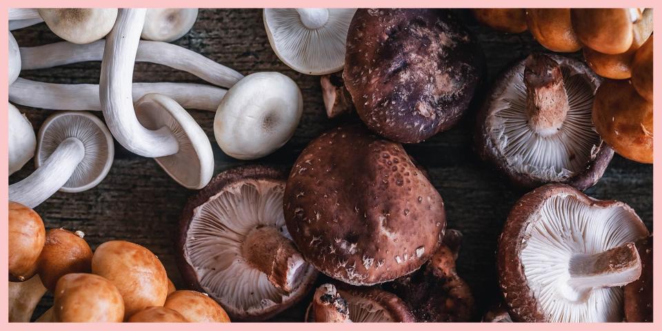 Everything You Need To Know About Mushrooms And How To Cook With Them