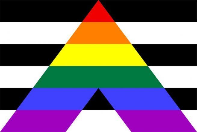 <p>The combination of the black and white stripes and the rainbow represent the allies' support of the LGBTQ+ community. </p>
