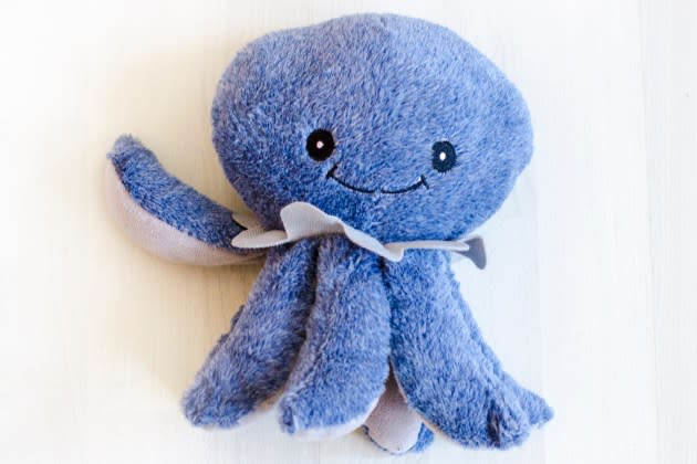 blue octopus blue octopus.jpg - Credit: Getty Images/iStockphoto