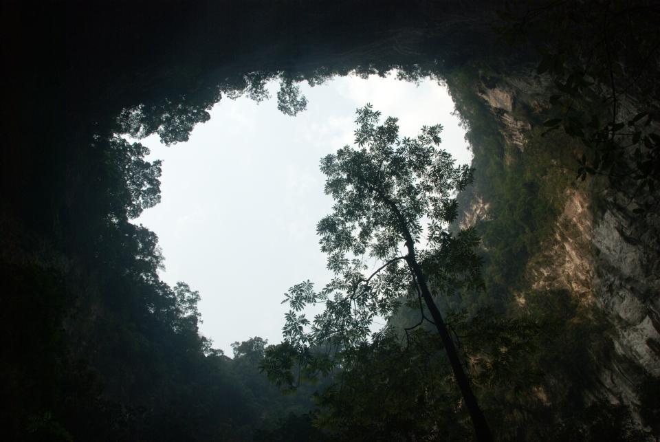 Scenic view in the biggest cave of the world, Hang Son Doong