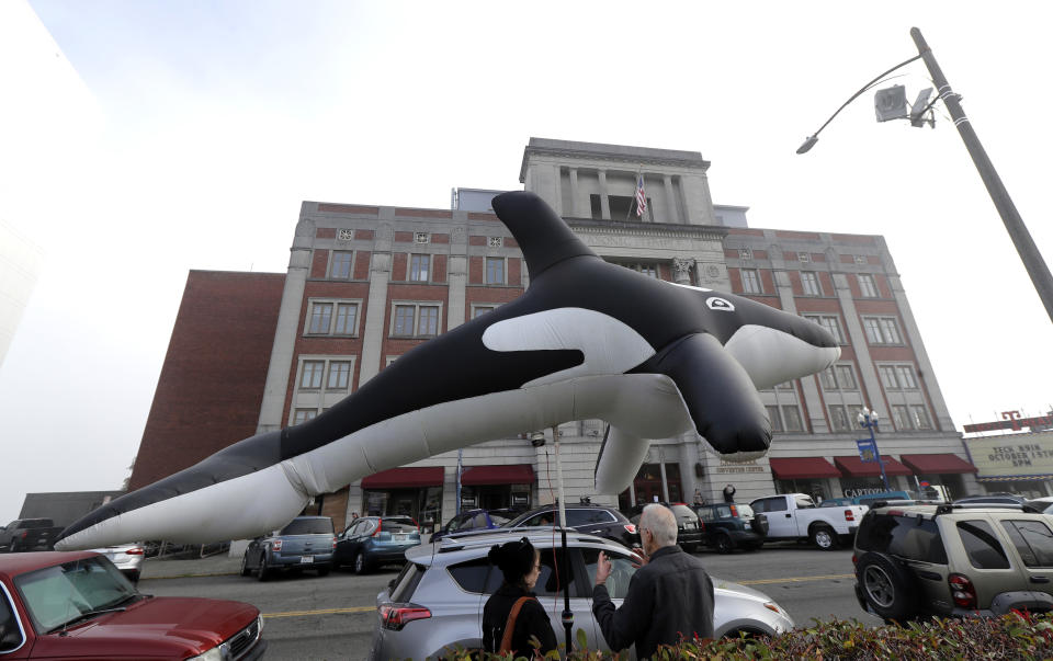 In this Oct. 17, 2018 photo, supporters of dam removals and other measures intended to help endangered orca whales stand near a giant inflatable orca outside a building in Tacoma, Wash., where the Southern Resident Killer Whale Recovery Task Force was meeting for a two-day work session. Calls to breach four hydroelectric dams in Washington state have grown louder in recent months as the plight of the critically endangered Northwest orcas has captured global attention. (AP Photo/Ted S. Warren)