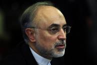 Iranian Foreign Minister Ali Akbar Salehi, seen here in 2011, has announced that long-stalled talks with world powers are to be revived on April 13 at a place yet to be agreed