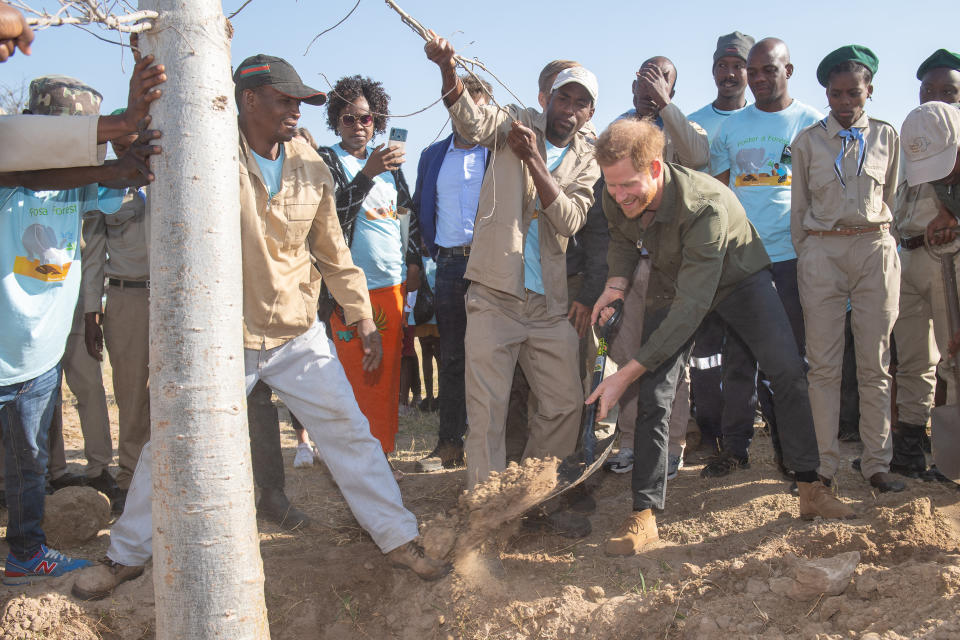 The Duke of Sussex helps plant a baobab tree during a tree planting event with local children, at the Chobe National Park, Botswana.