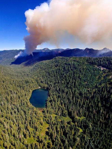 The Beachie Creek Fire burns in the Willamette National Forest on Sept. 2, 2020.
