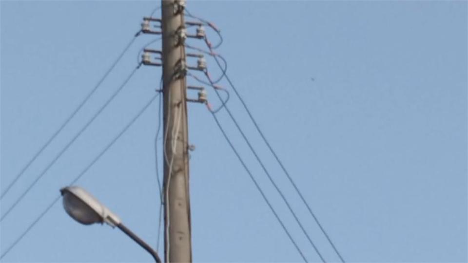 樹枝.塑膠布搭建草寮 通緝犯藏身堤防躲查緝