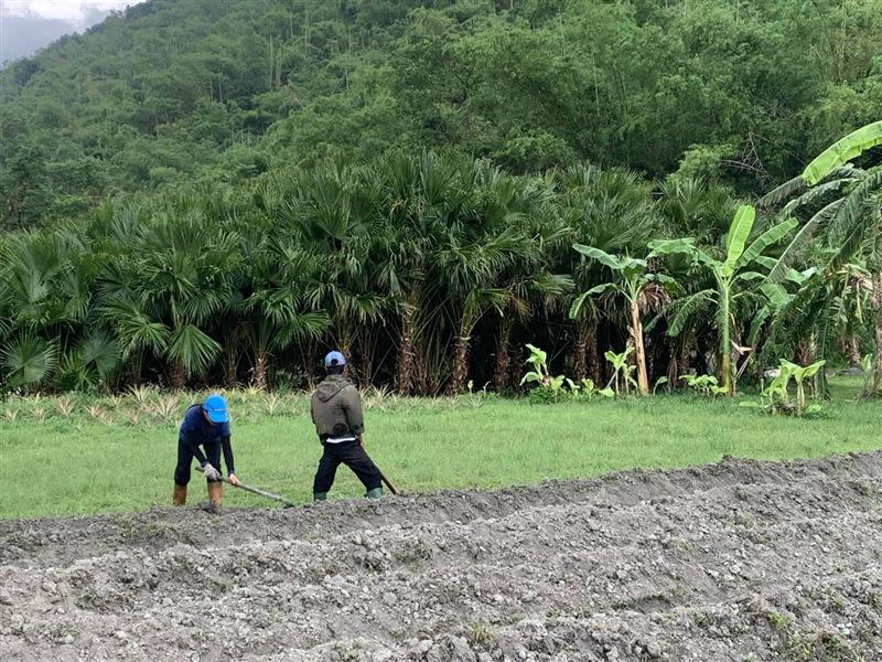 農業部也公告花蓮農改場電話，供農友諮詢。（圖／翻攝畫面）