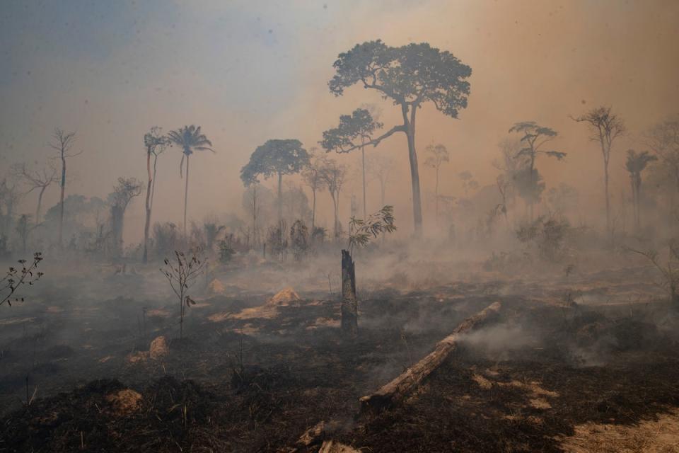 Fire consumes land recently deforested by cattle farmers in Brazil (AP)