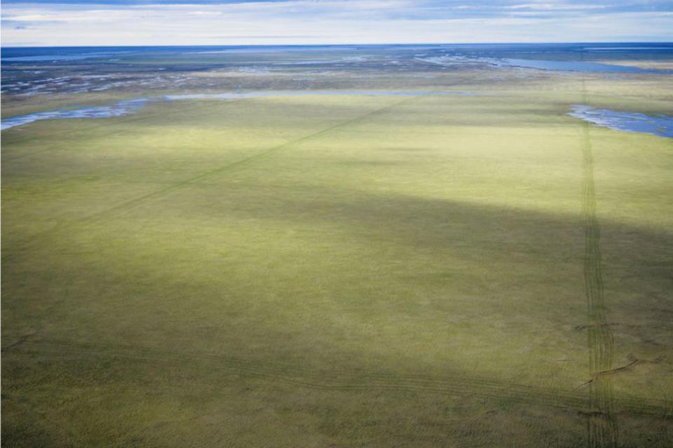 This 2006 photo shows seismic tracks on the tundra near Teshekpuk Lake, Alaska. (Photo: Subhankar Banerjee)