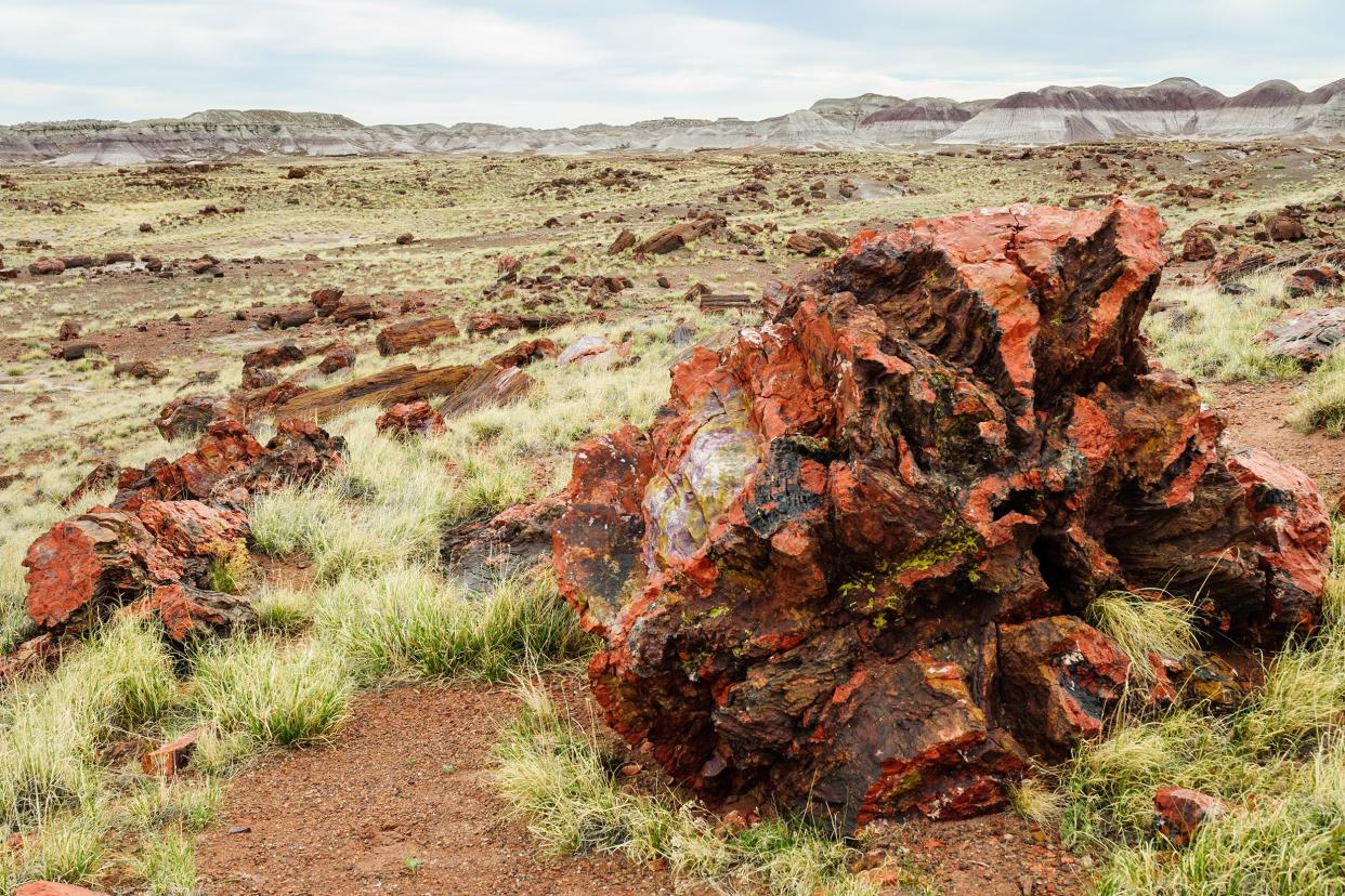 Petrified Forest National Park, Arizona