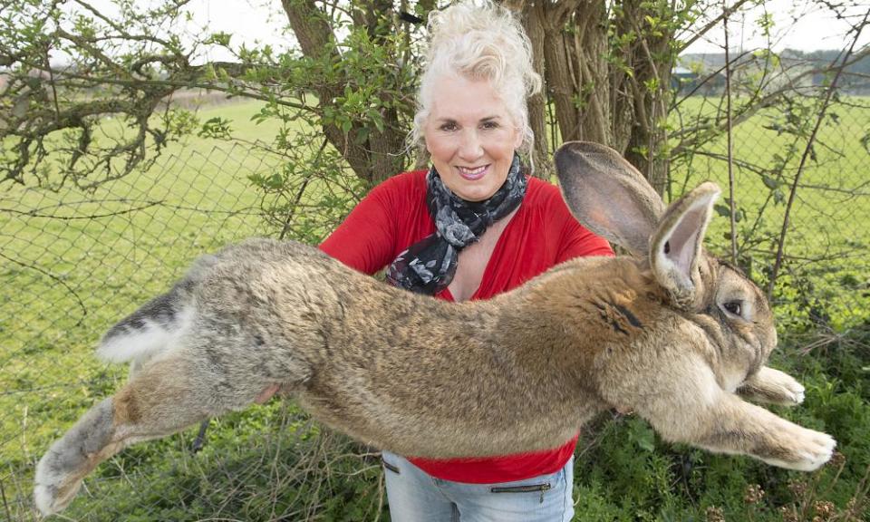 Annette Edwards with the giant rabbit’s father, Darius