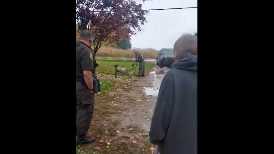 A police officer is seen shooting the deer with a handgun outside a home in Lawrence, Michigan.