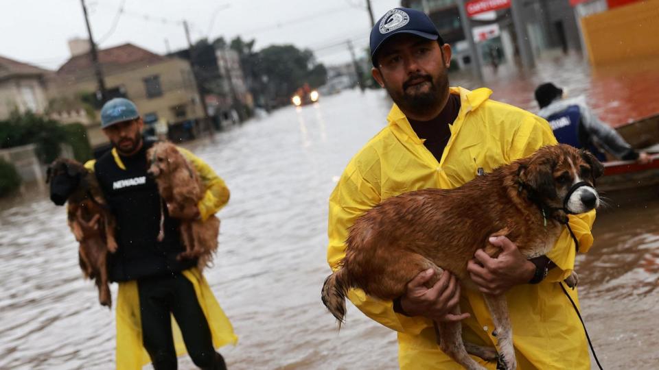PHOTO: Volunteers carry dogs that have been evacuated from a flooded area in Porto Alegre, Rio Grande do Sul state, Brazil May 10, 2024. (Diego Vara/Reuters)